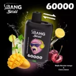 Bang Leader Stoll 60000 Puffs|デュアルメッシュで楽しむ2フレーバー - 画像 (2)