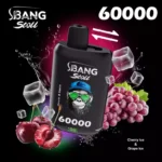 Bang Leader Stoll 60000 Puffs|デュアルメッシュで楽しむ2フレーバー - 画像 (8)