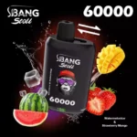 Bang Leader Stoll 60000 Puffs|デュアルメッシュで楽しむ2フレーバー - 画像 (9)