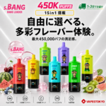 Bang Leader 450000 Puffs｜15in1・超大容量 使い捨てVAPE・Type-C充電