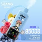 Bang Leader 85000 Puffs｜スマート画面で選ぶ3in1フレーバー - 画像 (10)