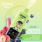 Bang Leader 85000 Puffs｜スマート画面で選ぶ3in1フレーバー - 画像 (11)