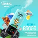Bang Leader 85000 Puffs｜スマート画面で選ぶ3in1フレーバー - 画像 (12)
