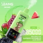 Bang Leader 85000 Puffs｜スマート画面で選ぶ3in1フレーバー - 画像 (14)