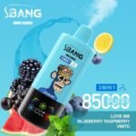 Bang Leader 85000 Puffs｜スマート画面で選ぶ3in1フレーバー - 画像 (2)