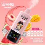 Bang Leader 85000 Puffs｜スマート画面で選ぶ3in1フレーバー - 画像 (8)