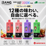 Bang Leader Stoll 300K Puffs｜6つの味を巡る300000パフモデル
