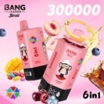 Bang Leader Stoll 300K Puffs｜6つの味を巡る300000パフモデル - 画像 (8)