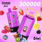Bang Leader Stoll 300K Puffs｜6つの味を巡る300000パフモデル - 画像 (10)