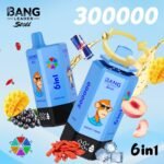 Bang Leader Stoll 300K Puffs｜6つの味を巡る300000パフモデル - 画像 (5)