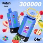Bang Leader Stoll 300K Puffs｜6つの味を巡る300000パフモデル - 画像 (12)