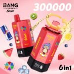 Bang Leader Stoll 300K Puffs｜6つの味を巡る300000パフモデル - 画像 (14)