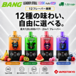 Bang Leader Stoll 120K Puffs｜気分で切り替えるダブルフレーバー