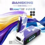 Bang King 60000 Puffs Ice Cool|25ml・クアッドメッシュの60Kモデル - 画像 (5)