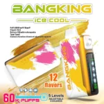 Bang King 60000 Puffs Ice Cool|25ml・クアッドメッシュの60Kモデル - 画像 (6)