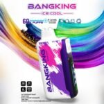 Bang King 60000 Puffs Ice Cool|25ml・クアッドメッシュの60Kモデル - 画像 (9)