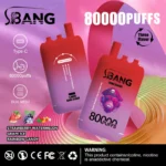 Bang Leader 80000 Puffs|3ポッドを切り替えるグラフィティVAPE - 画像 (12)